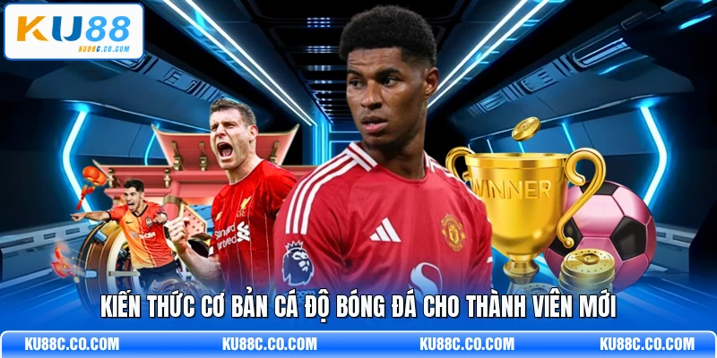 Kiến thức cơ bản cá độ bóng đá cho thành viên mới